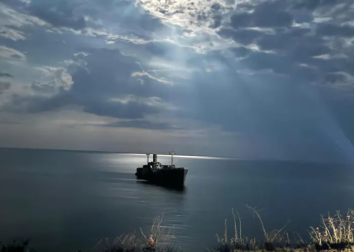 Cabană Tiny Hub Costineşti